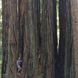 Meet your Posher, Tom